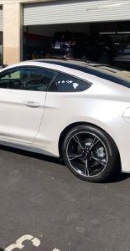 White Mustang GT — Passenger Side